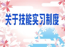 什么是技能实习生制度？