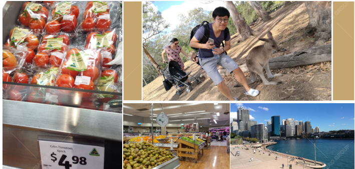 澳大利亚掠影.png