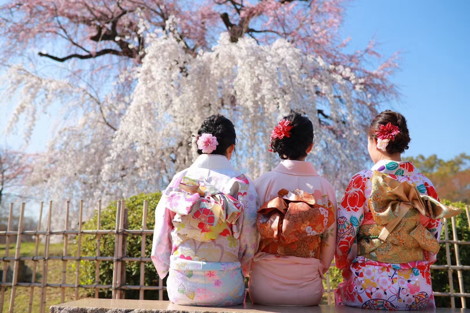 1565594815486385.jpg IMG_4054.JPG