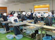 水产食品加工现场