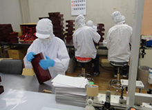 赴日本千叶县纸盒制造项目招募进行中