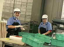 赴日本兵库县水产食品加工项目招募进行中